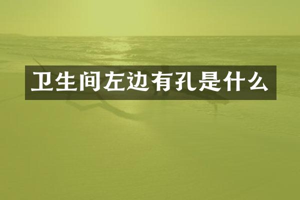 卫生间左边有孔是什么