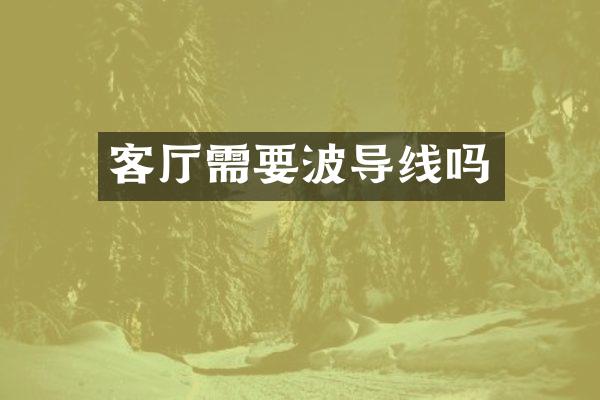 客厅需要波导线吗