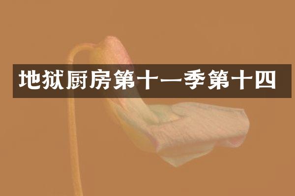 地狱厨房第十一季第十四