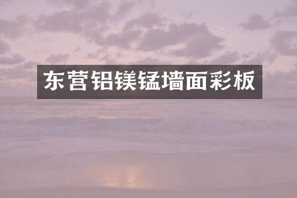 东营铝镁锰墙面彩板