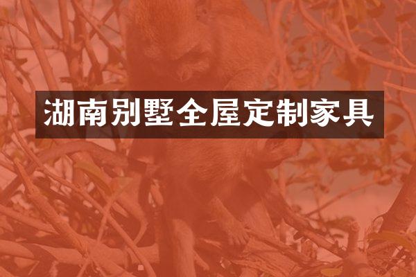 湖南别墅全屋定制家具