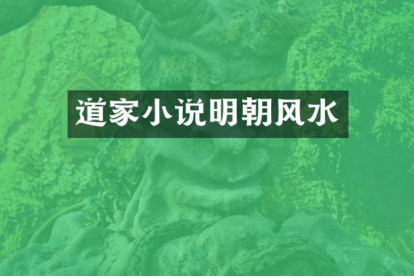 道家小说明朝风水