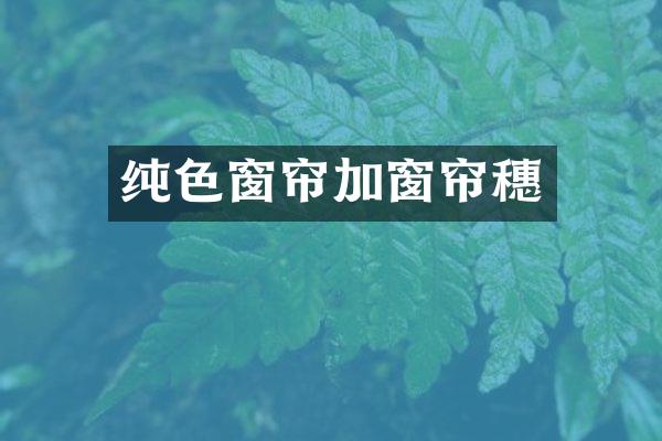 纯色窗帘加窗帘穗