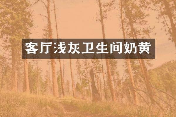 客厅浅灰卫生间奶黄
