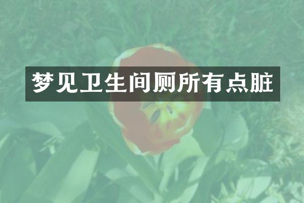 梦见卫生间厕所有点脏