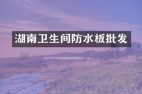 湖南卫生间防水板批发