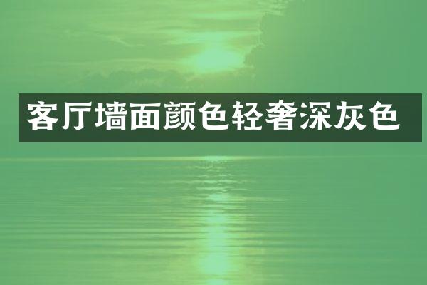 客厅墙面颜色轻奢深灰色