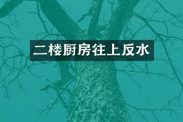 二楼厨房往上反水