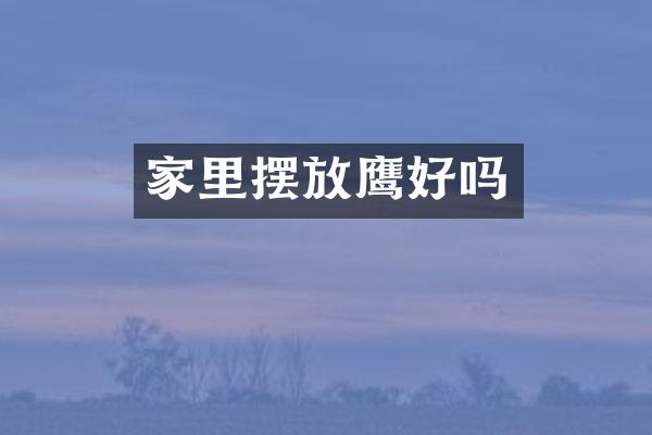 家里摆放鹰好吗