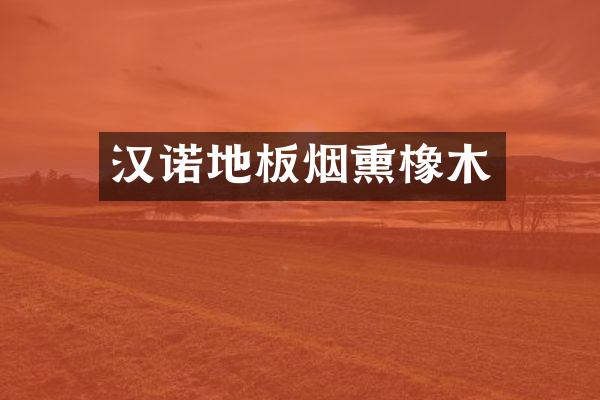 汉诺地板烟熏橡木