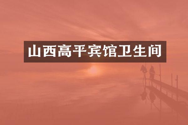 山西高平宾馆卫生间