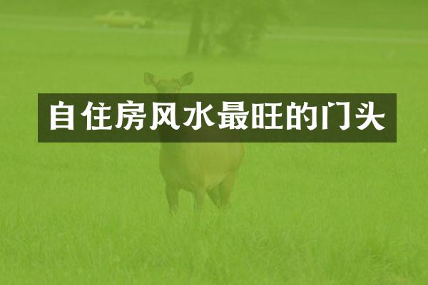 自住房风水最旺的门头