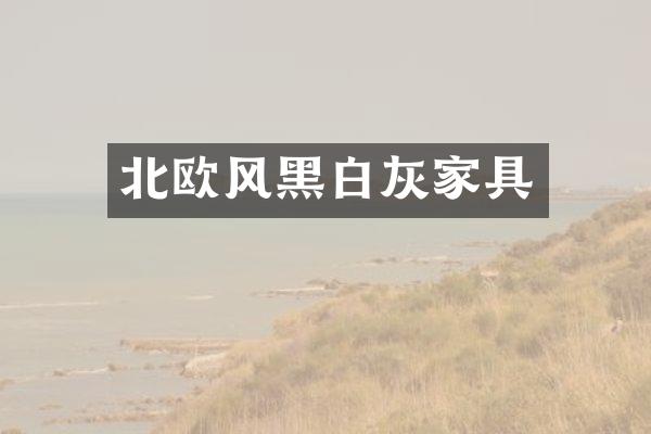 北欧风黑白灰家具