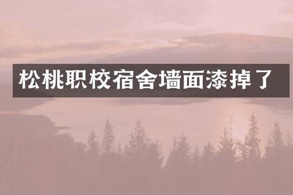 松桃职校宿舍墙面漆掉了