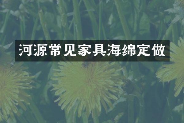 河源常见家具海绵定做