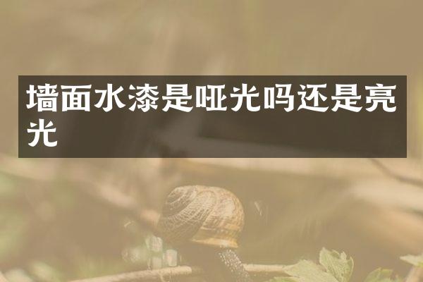 墙面水漆是哑光吗还是亮光