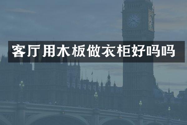 客厅用木板做衣柜好吗吗