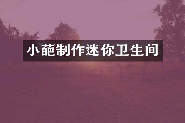 小葩制作迷你卫生间