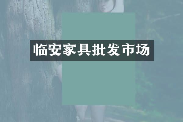 临安家具批发市场