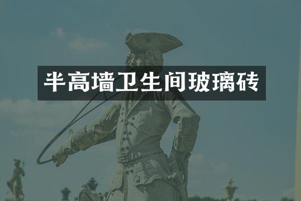 半高墙卫生间玻璃砖