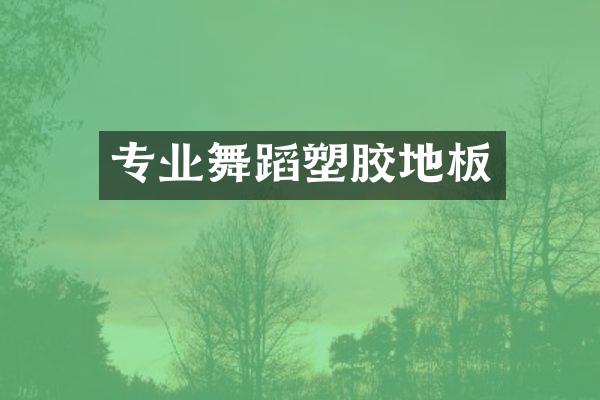 专业舞蹈塑胶地板