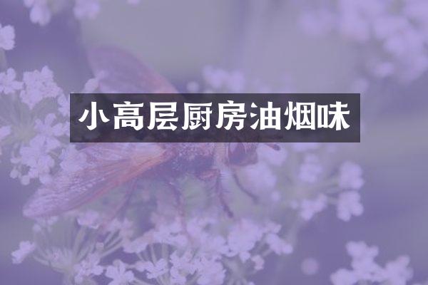 小高层厨房油烟味