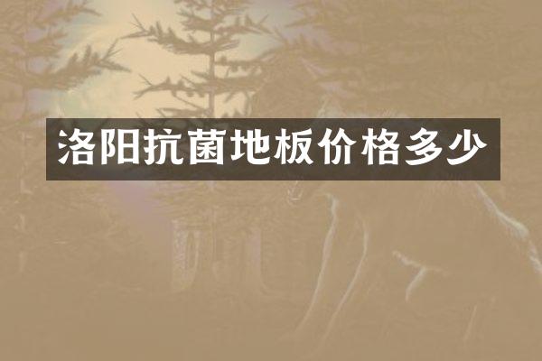 洛阳抗菌地板价格多少