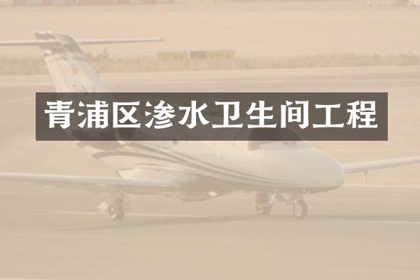 青浦区渗水卫生间工程