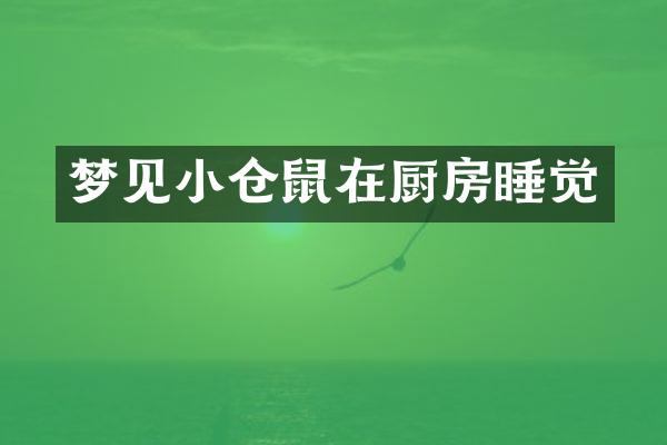 梦见小仓鼠在厨房睡觉
