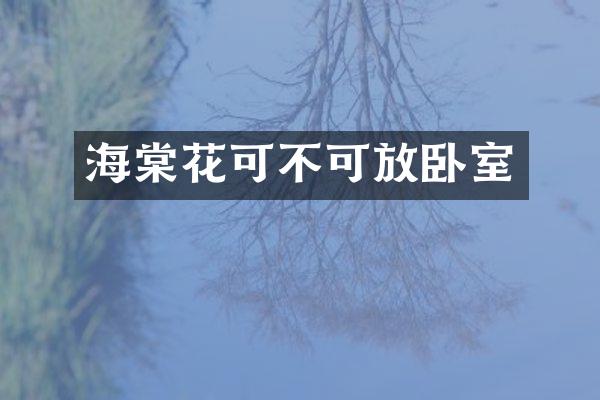 海棠花可不可放卧室