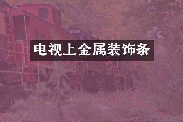 电视上金属装饰条