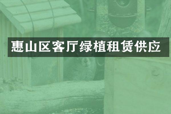 惠山区客厅绿植租赁供应