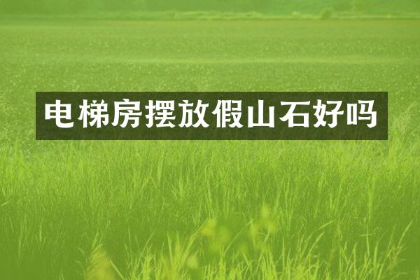 电梯房摆放假山石好吗