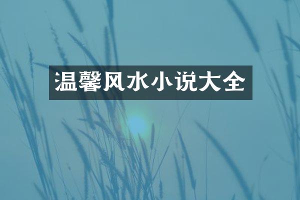 温馨风水小说大全