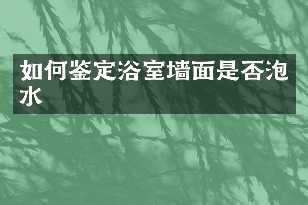 如何鉴定浴室墙面是否泡水