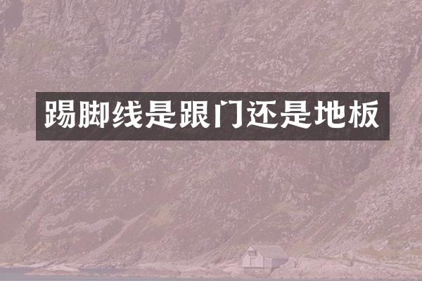 踢脚线是跟门还是地板