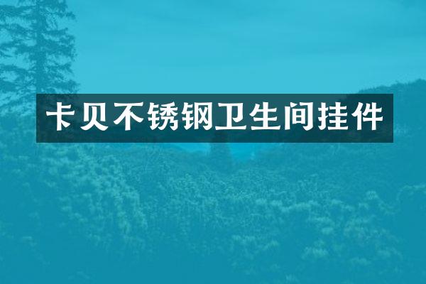 卡贝不锈钢卫生间挂件