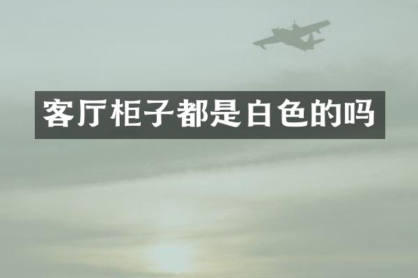 客厅柜子都是白色的吗
