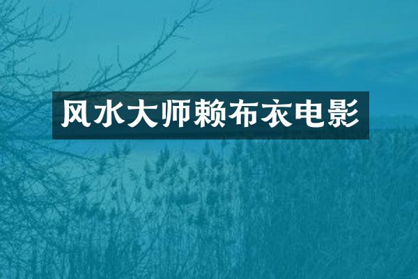 风水大师赖布衣电影