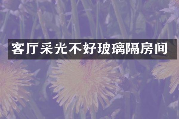 客厅采光不好玻璃隔房间
