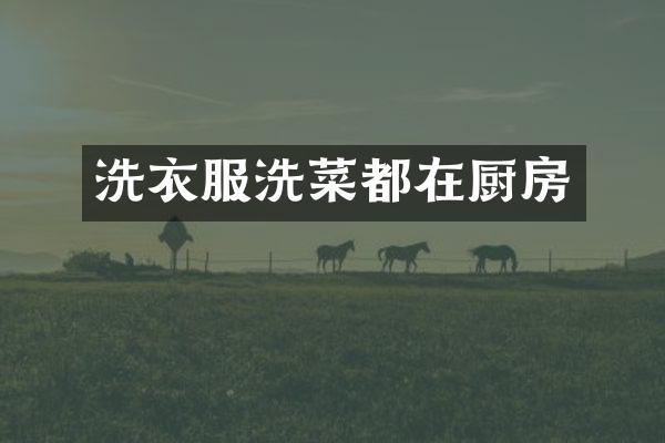 洗衣服洗菜都在厨房