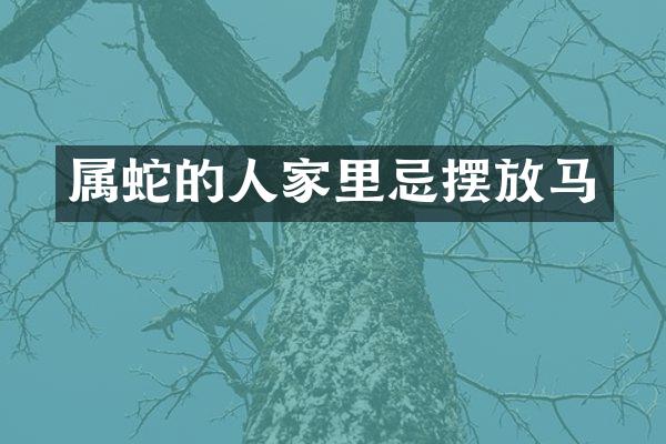 属蛇的人家里忌摆放马