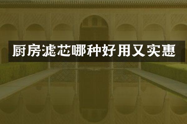 厨房滤芯哪种好用又实惠