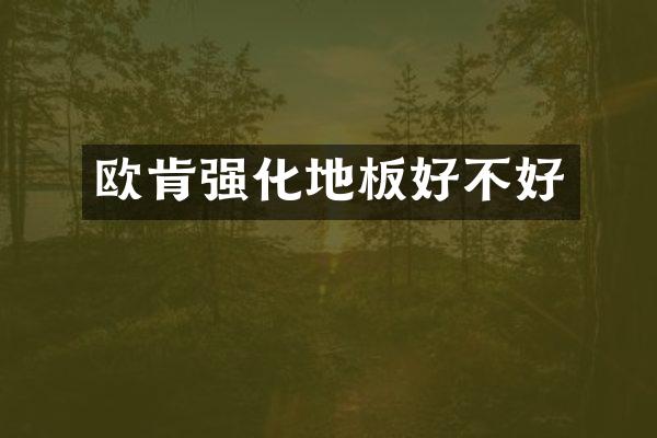 欧肯强化地板好不好