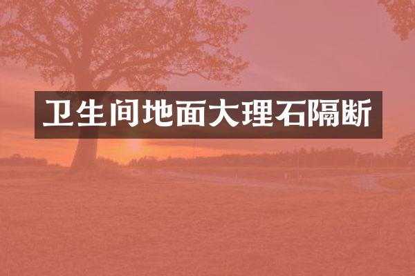 卫生间地面大理石隔断