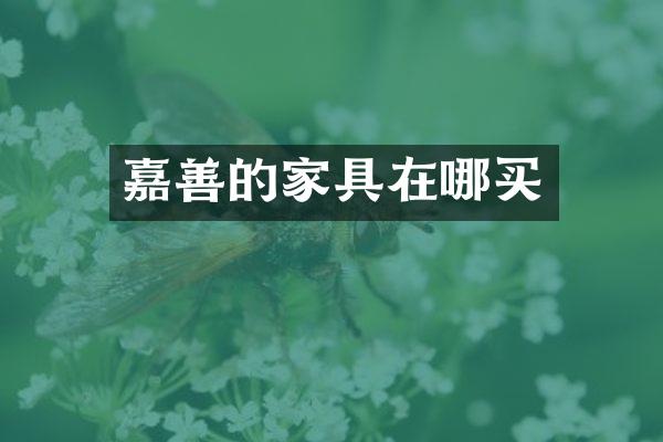 嘉善的家具在哪买