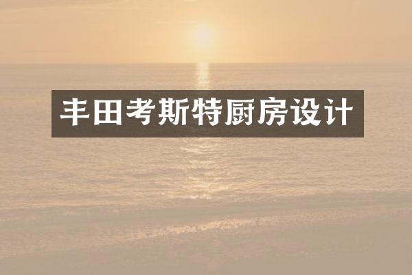 丰田考斯特厨房设计
