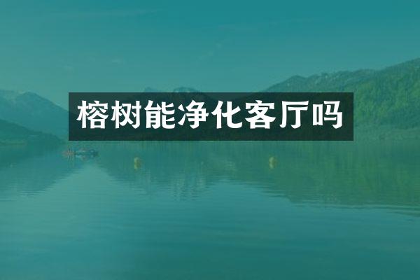 榕树能净化客厅吗