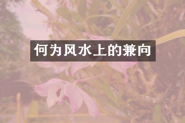 何为风水上的兼向