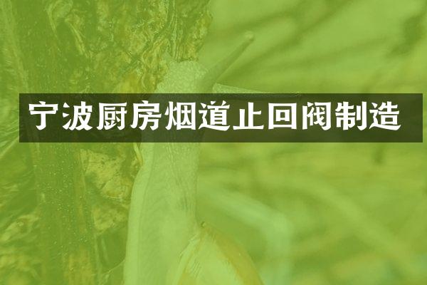 宁波厨房烟道止回阀制造